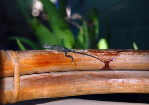 Cure Yourself of Tiny Details Exaggeration Syndrome